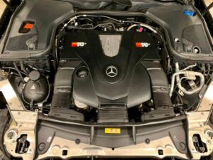 243946039_728766601857915_5712063199174310649_n